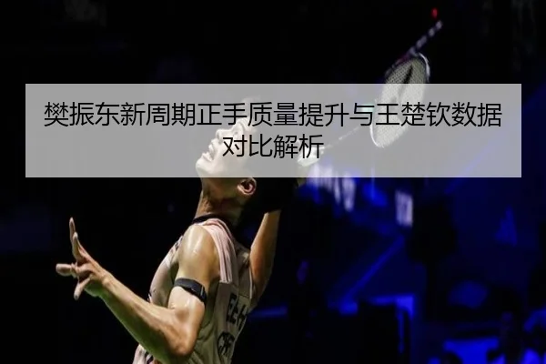 樊振东新周期正手质量提升与王楚钦数据对比解析